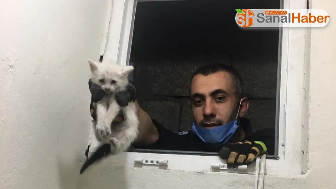 Havalandırma boşluğuna düşen yavru kedi kurtarıldı