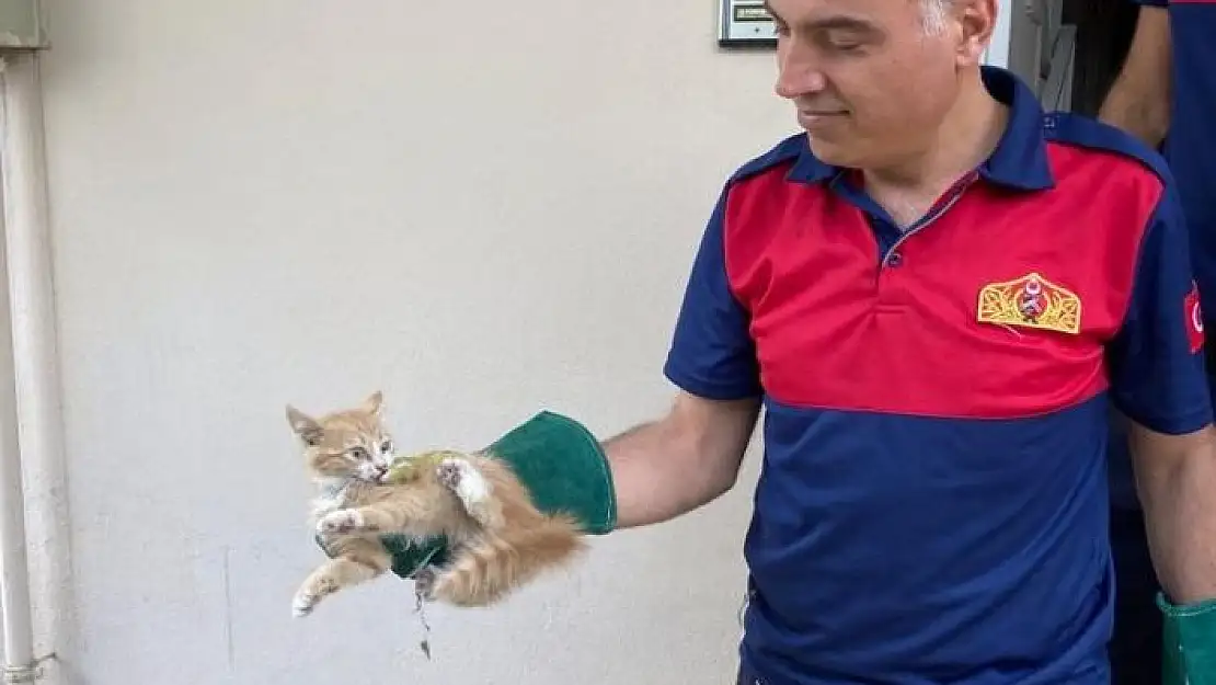 'Havalandırma boşluğundaki kedi kurtarıldı'