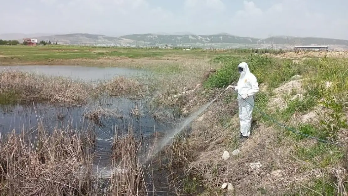 'Havalar ısındı ilaçlama çalışmaları hız kazandı'