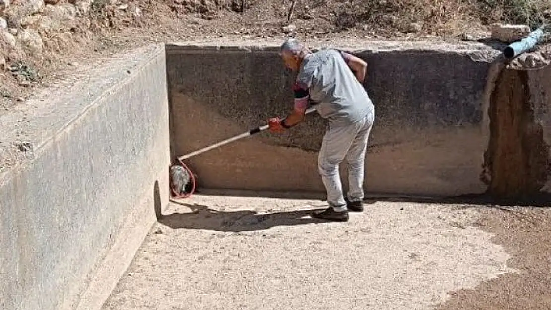 'Havuzdan çıkamayan porsuğu ekipler kurtardı'