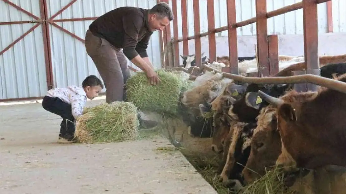 '`Hayal bile edemezdik´ diyen muhtar, TKDK´dan aldığı destek ile köyünü tavuk ve besi çiftliğine döndürdü'