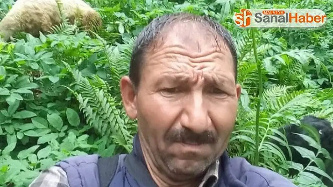 Hayvan otlatmaya gitti cesedi bulundu
