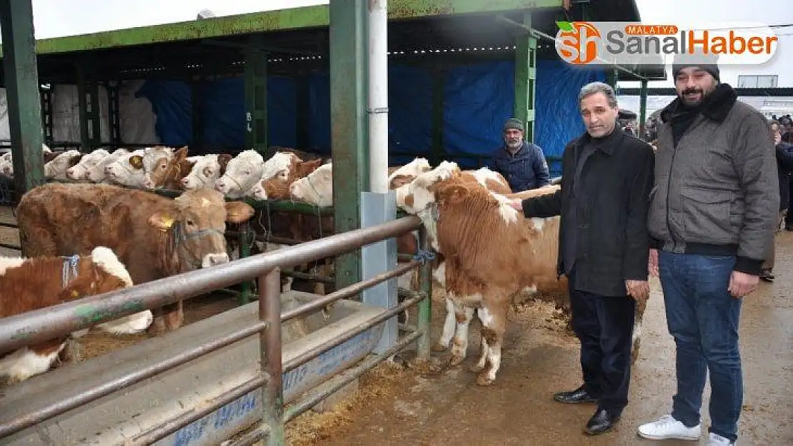 Hayvan üreticileri yem desteği bekliyor