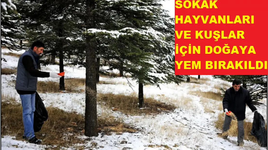 SOKAK HAYVANLARI VE KUŞLAR İÇİN DOĞAYA YEM BIRAKILDI