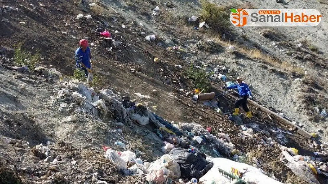 Hayvanları telef eden çöpleri topladılar