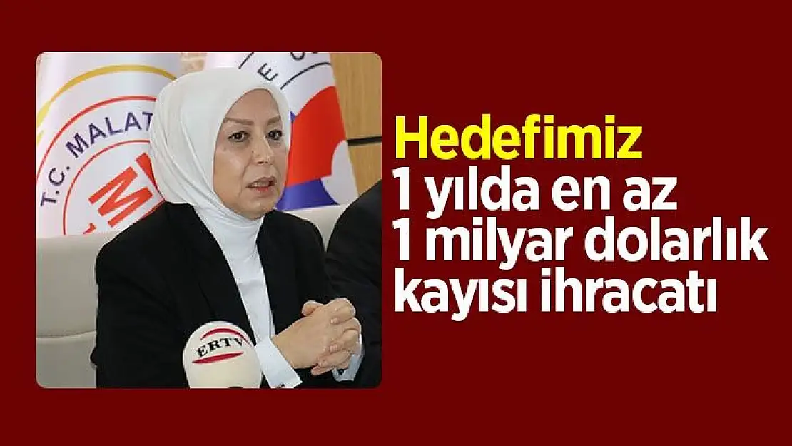 Hedefimiz, 1 yılda en az 1 milyar dolarlık kayısı ihracatı