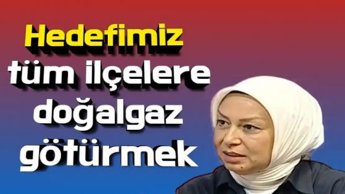 Hedefimiz tüm ilçelere doğalgaz götürmek