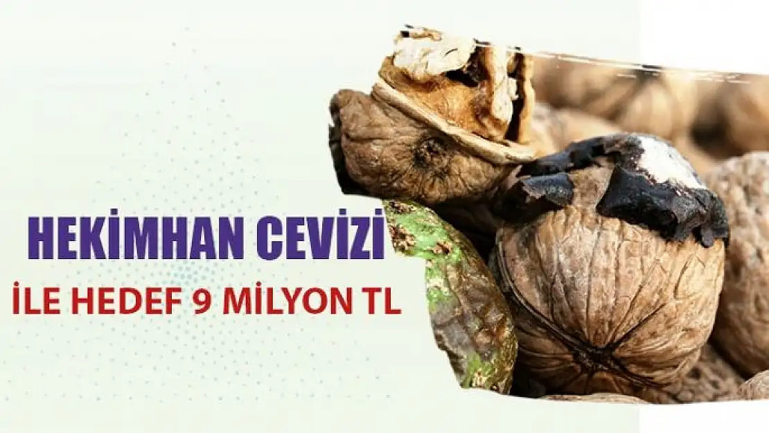 Hekimhan cevizi ile hedef 9 milyon TL