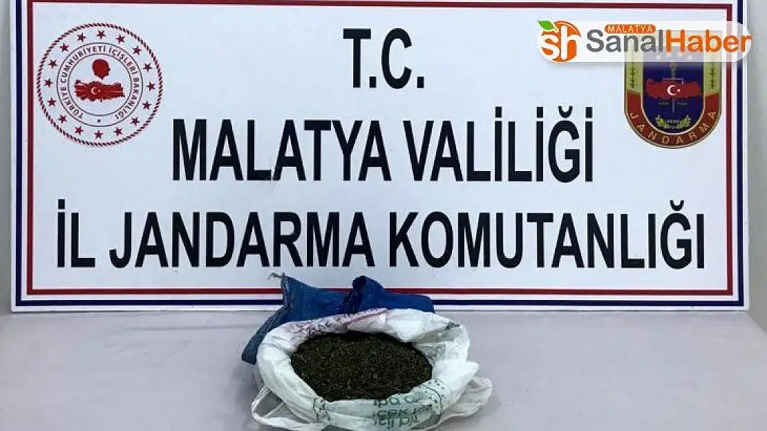 Hekimhan'da uyuşturucu operasyonu