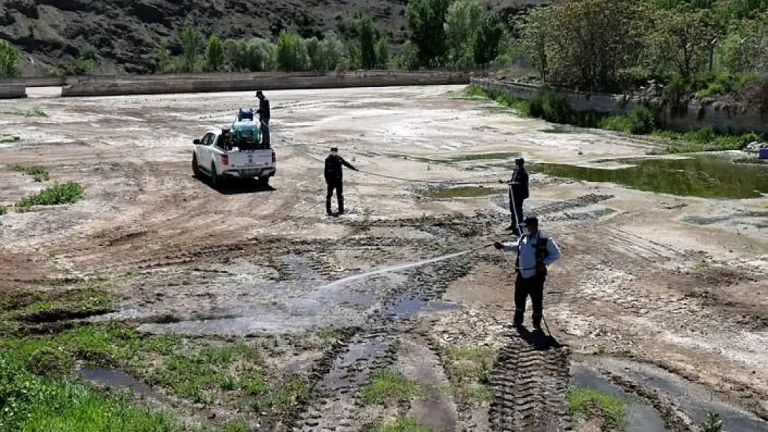 'Hekimhan´da vektörel mücadelesi hız kesmiyor'