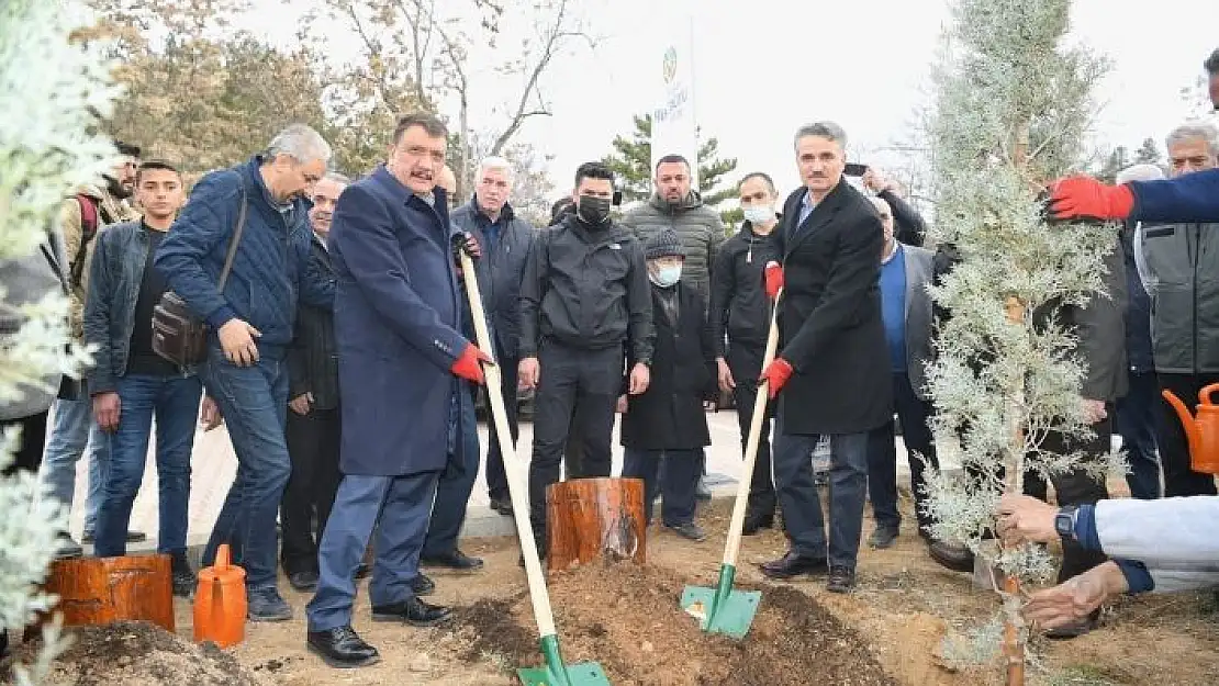 'Hemşehri dernekleri fidan dikti'