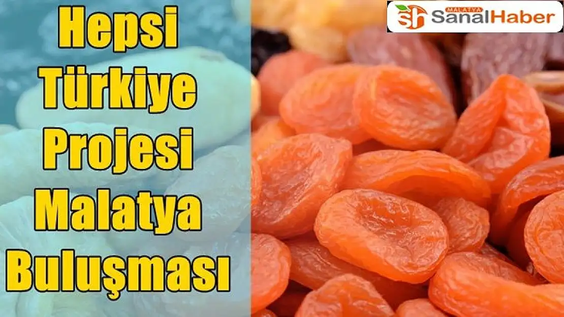 Hepsi Türkiye Projesi Malatya Buluşması