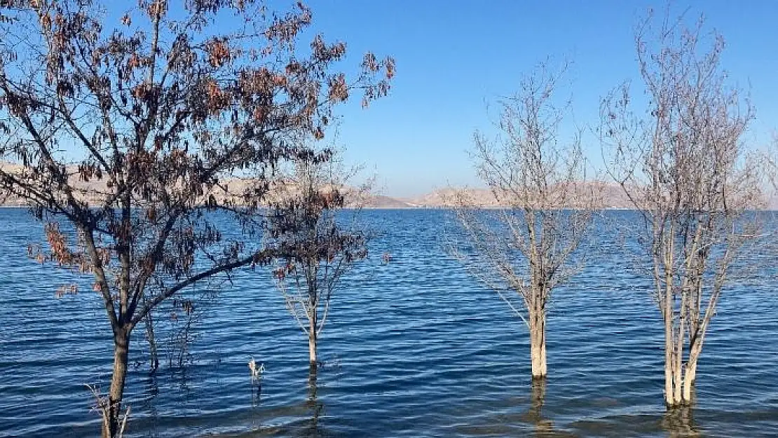 'Her yerde baraj ve göllerde su seviyesi düştü, deprem merkezindeki o göldeki  yükselme dikkat çekti'