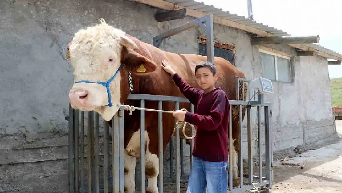 'Heybeti görenleri büyülüyor, fiyatı ise dudak uçuklatıyor'