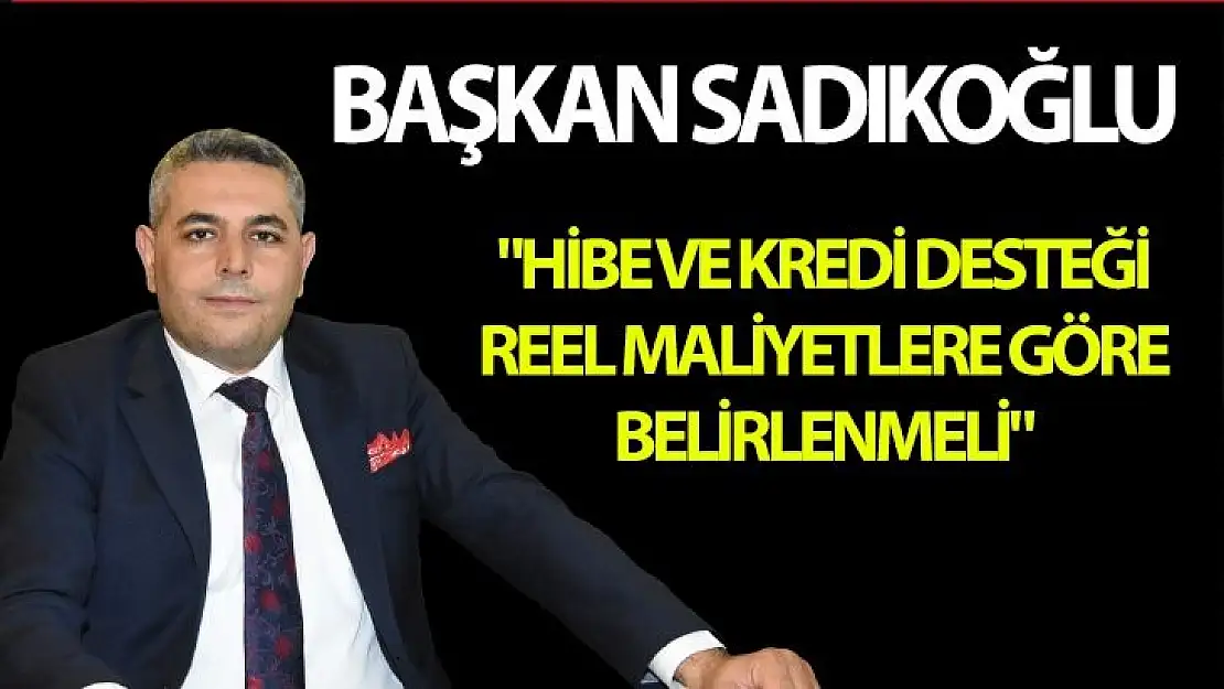 Hibe ve kredi desteği reel maliyetlere göre belirlenmeli