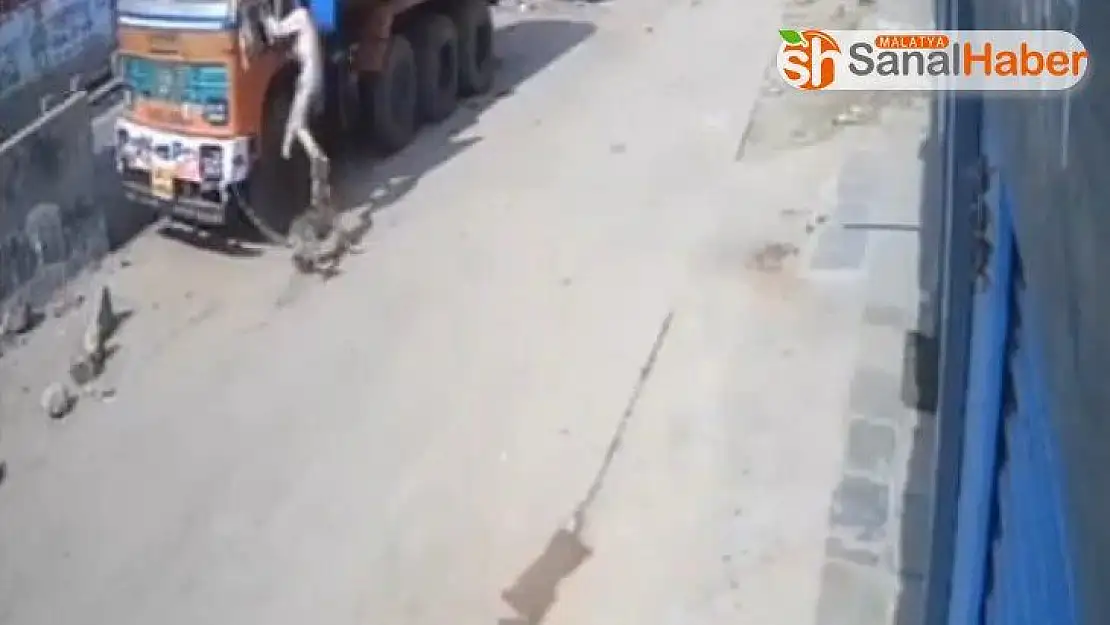 Hindistan'da leopar saldırısından son anda kurtuldu