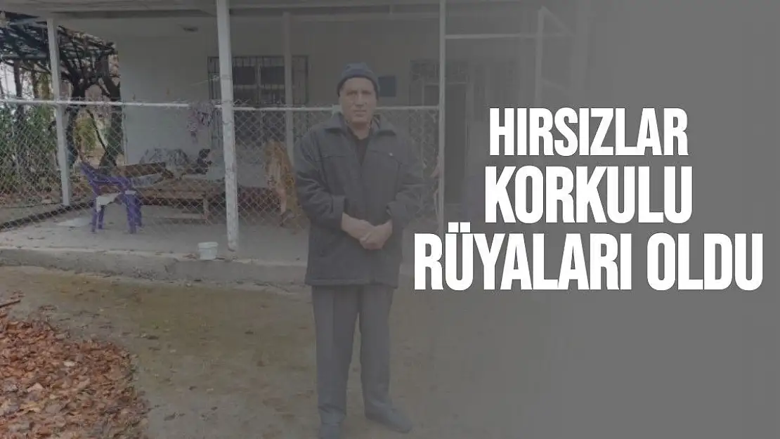 Hırsızlar korkulu rüyaları oldu