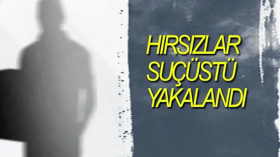 Hırsızlar suçüstü yakalandı