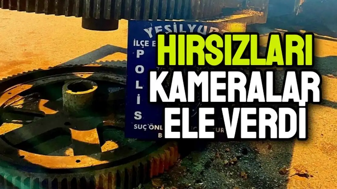 Hırsızları kameralar ele verdi