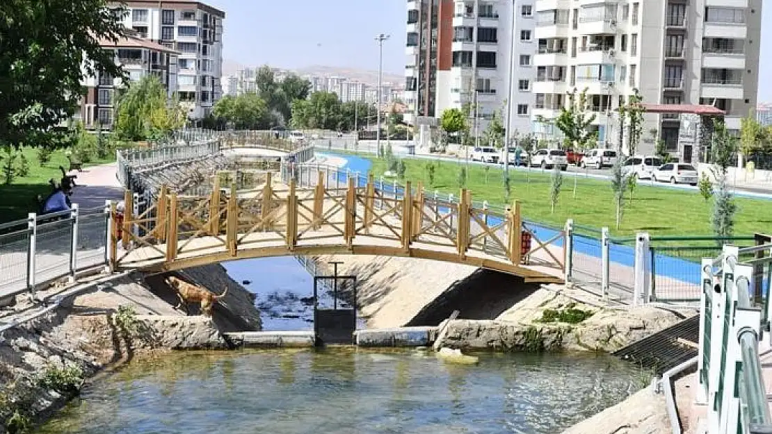 'Horata Çayının çevresine yeni bir yaşam alanı kurdu'