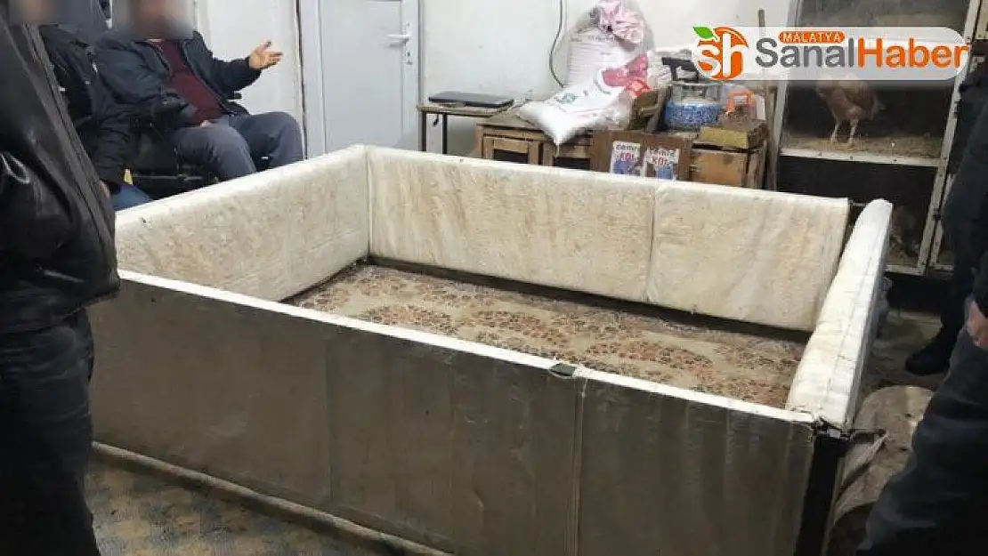 Horoz dövüştüren şahıslara ceza