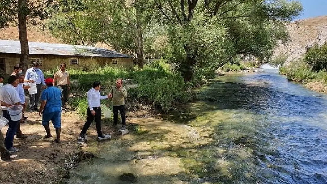 'Hurman Çayı´na kırmızı benekli alabalık bırakıldı'