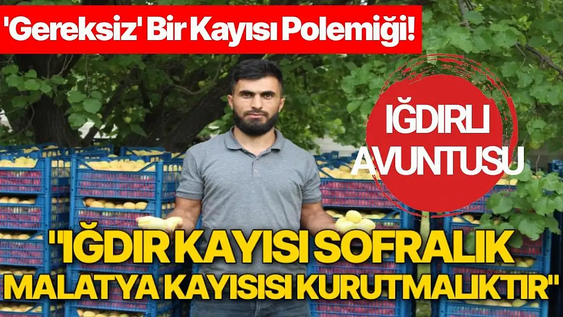 Iğdır kayısı sofralık, Malatya kayısısı kurutmalıktır