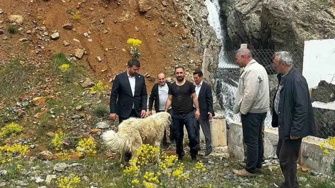 'İhbar kendisine geldi, belediye başkanı köpek kurtarma operasyonuna katıldı'