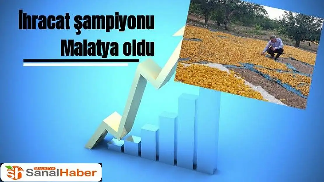 İhracat şampiyonu Malatya oldu