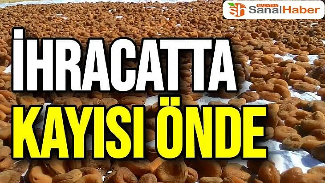 İhracatta kayısı önde