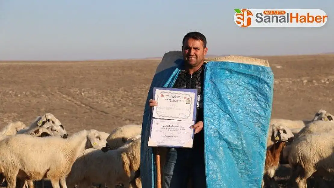 İki yabancı dil bilen aday öğretmen çobanlık yapıyor