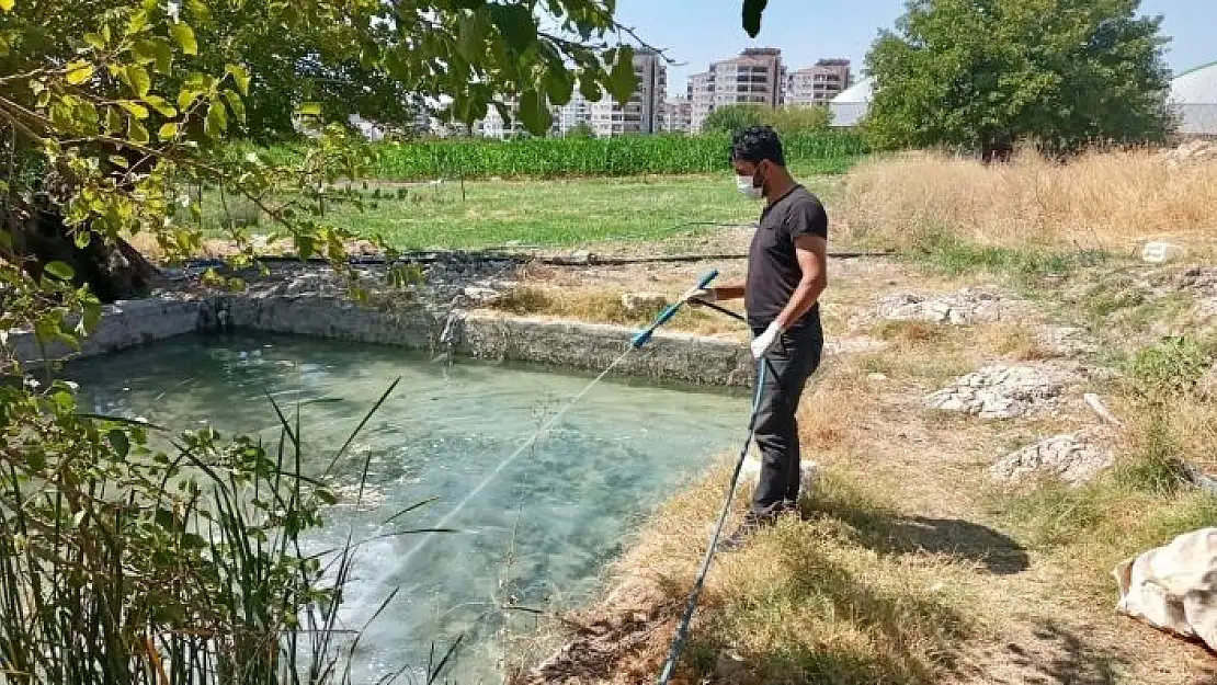 'İlaçlama çalışmaları devam ediyor'