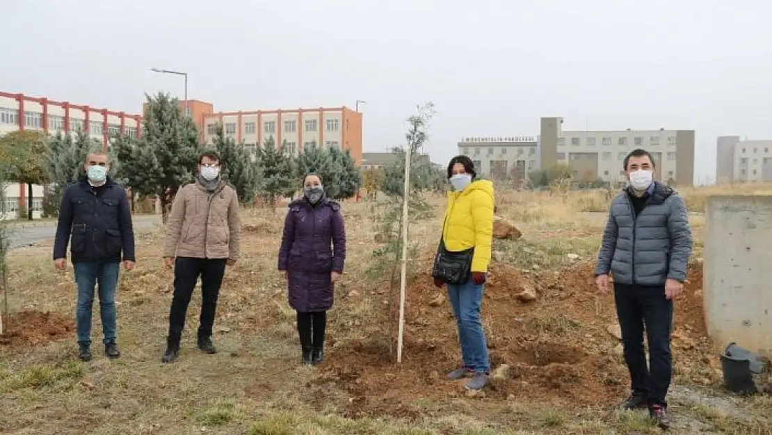 'İletişimciler de fidan kampanyasına katıldı'