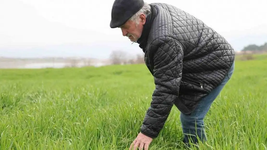 'İlkbahar yağışları çiftçilerin yüzünü güldürdü'