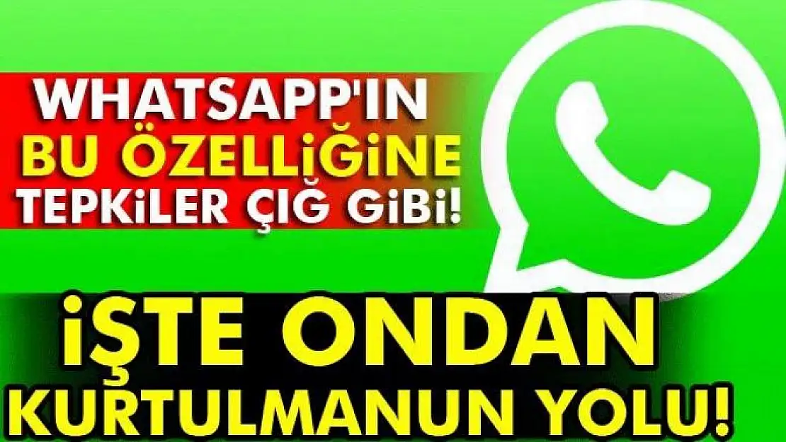WhatsApp'ın tepki çeken özelliği nasıl kapatılır? 