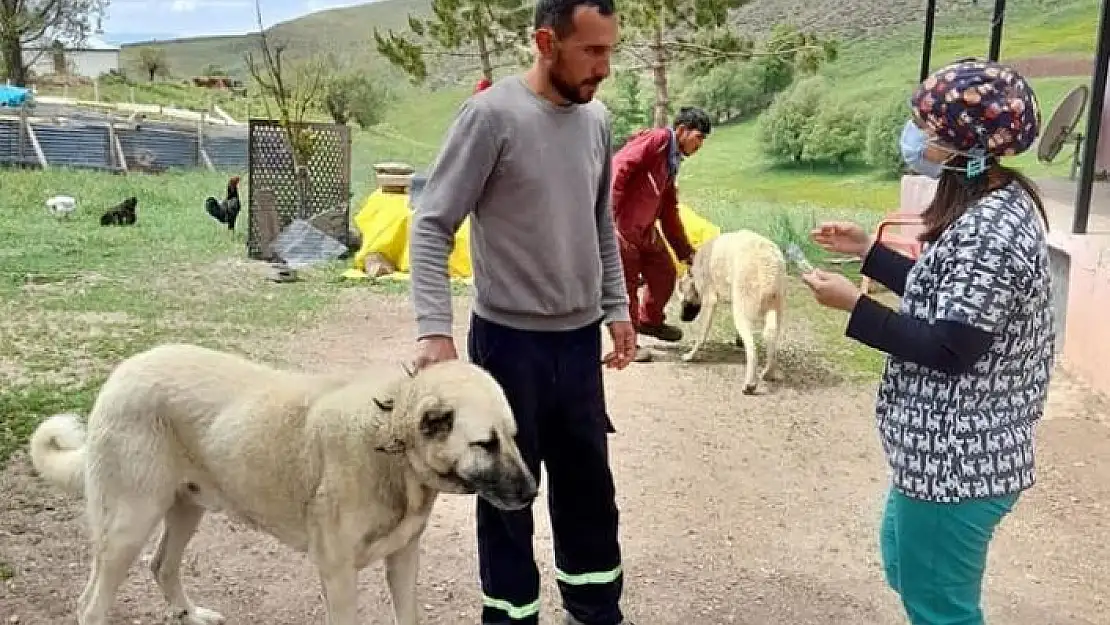 'İmranlı´da üreticiler delibaş hastalığına ilişkin bilgilendirildi'