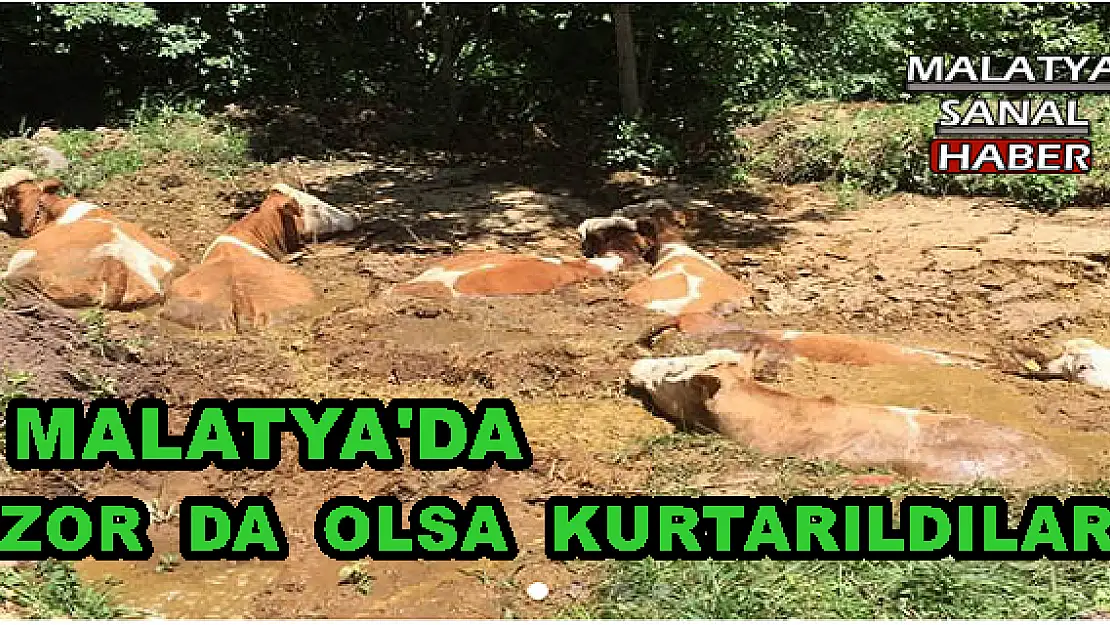 MALATYA'DA ZOR  DA  OLSA  KURTARILDILAR!