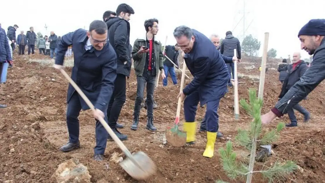 'İnönü Üniversitesi´nde bin fidan  toprakla buluşturuldu'