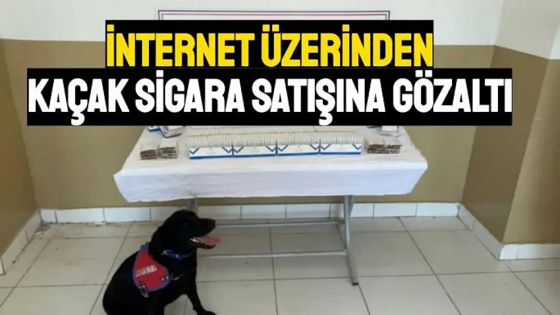 İnternet üzerinden kaçak sigara satışına gözaltı