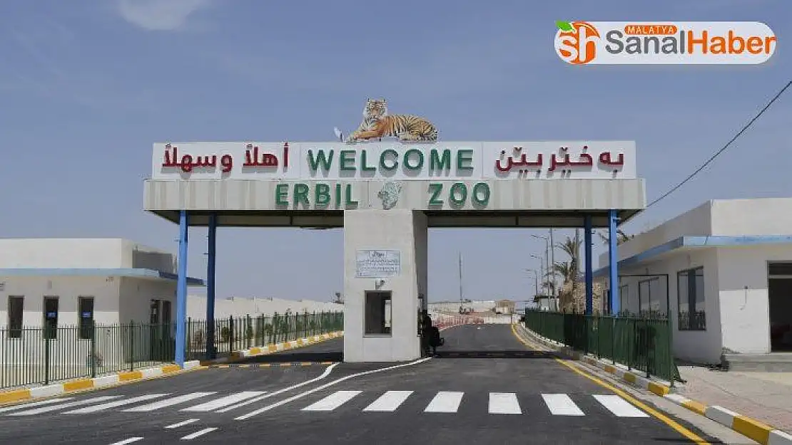 Irak'ın en büyük hayvanat bahçesi açıldı