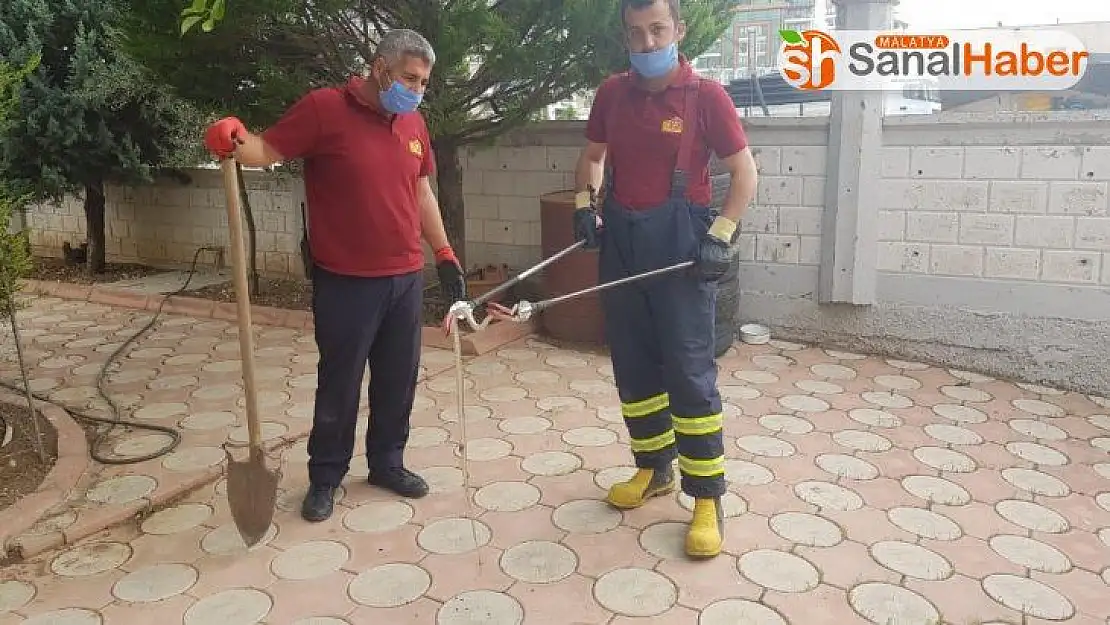 İş yerine giren yılan yakalandı
