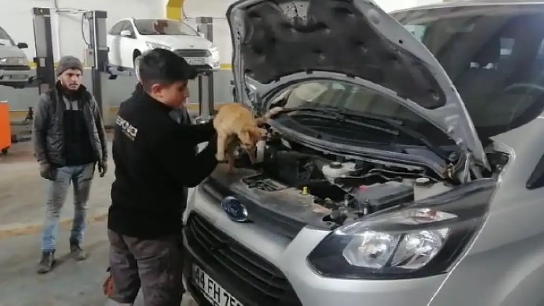 'Isınmak için girdiği aracın motorundan çıkmak istemedi'