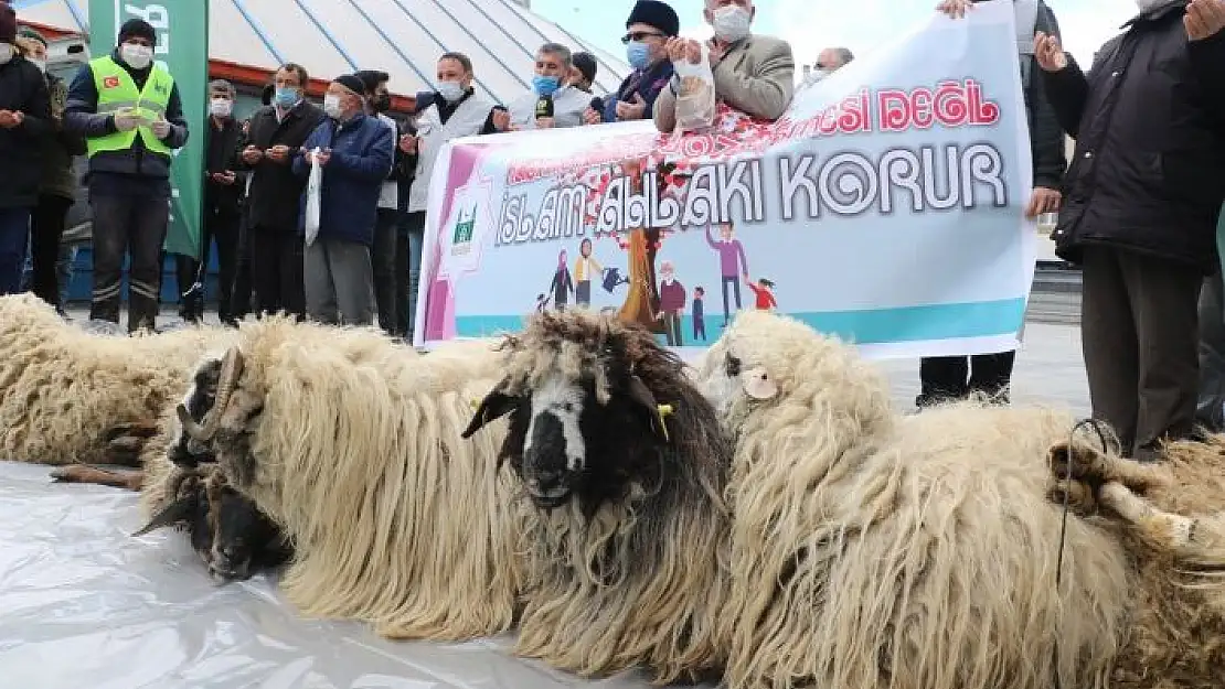 'İstanbul Sözleşmesinden çıkılmasına şükür kurbanı'