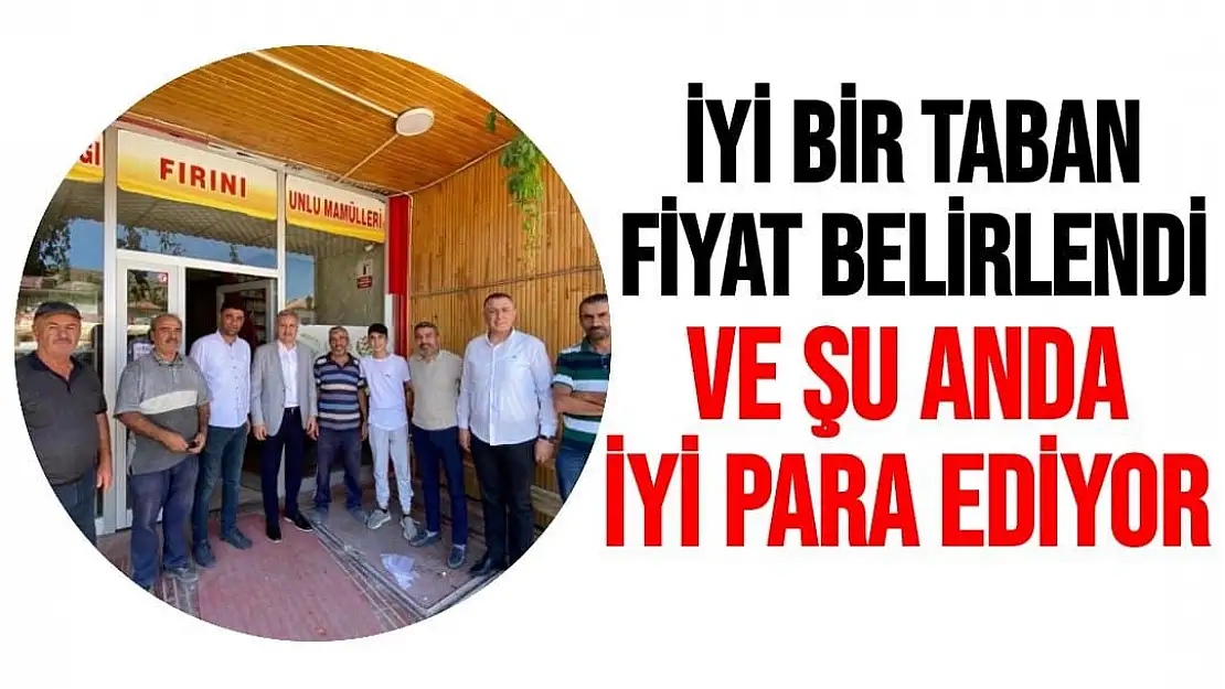 İyi bir taban fiyat belirlendi ve şu anda iyi para ediyor