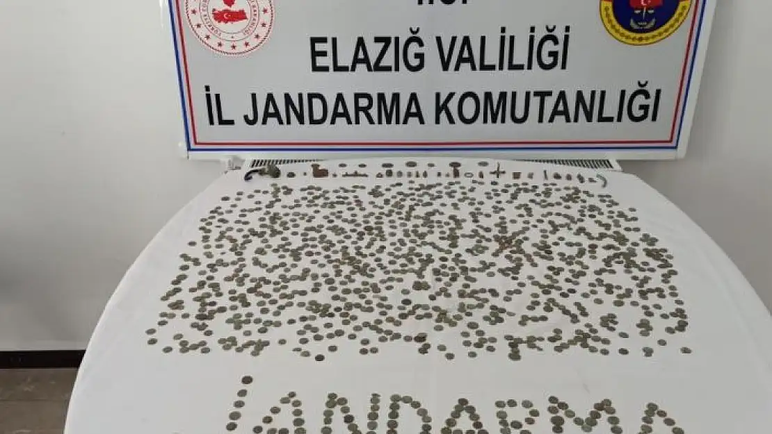 'Jandarma alıcı kılığına girdi, Roma dönemine ait bin 188 adet tarihi eser ele geçirildi'