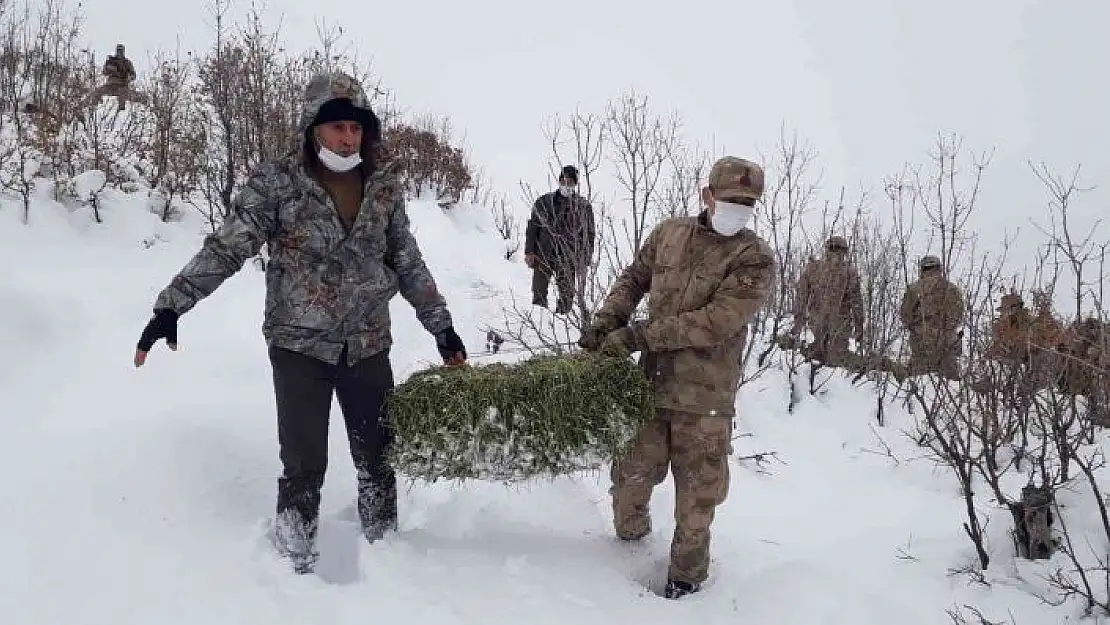 'Jandarma ekipleri sokak ve yaban hayvanlarını unutmadı'