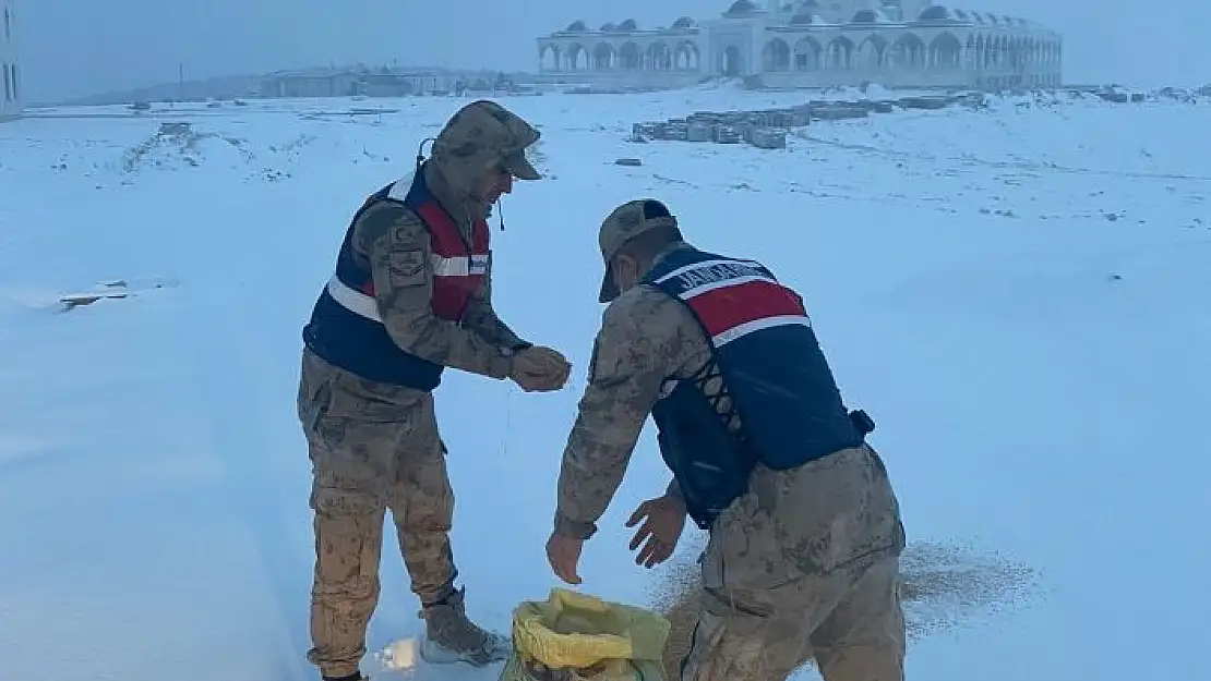 'Jandarma hayvanlar için doğaya yem bıraktı'