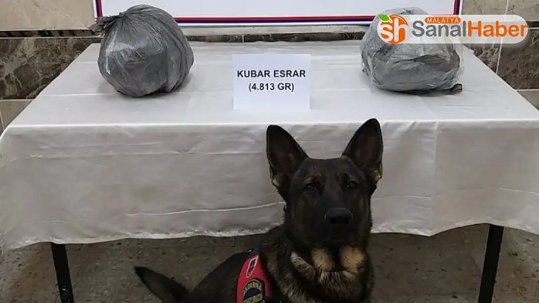 Jandarma kaçakçılara geçit vermedi