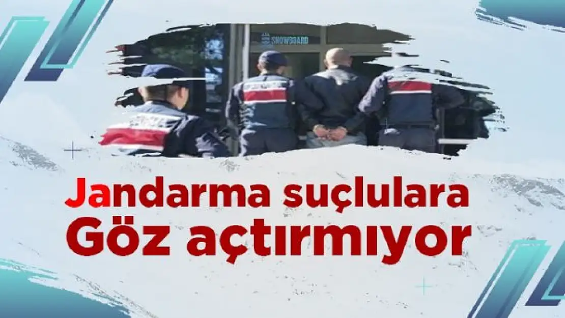 Jandarma suçlulara göz açtırmıyor