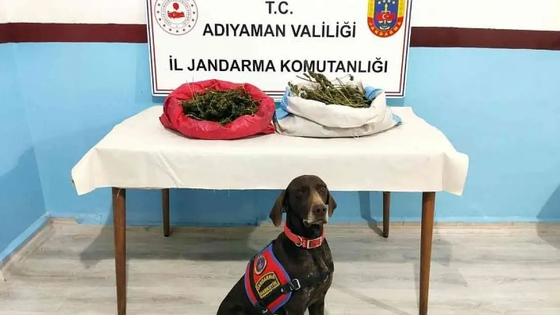 'Jandarma uyuşturucu tacirlerine geçit vermiyor'